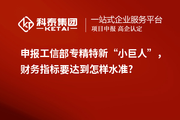 申報(bào)工信部專精特新 “小巨人”，財(cái)務(wù)指標(biāo)要達(dá)到怎樣水準(zhǔn)?