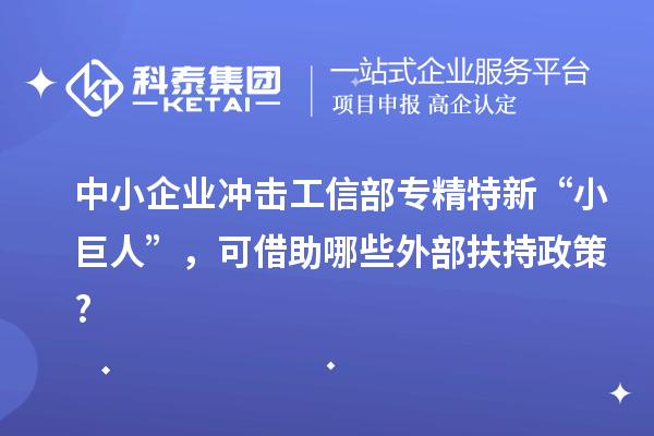 中小企業(yè)沖擊工信部專精特新 “小巨人”，可借助哪些外部扶持政策?
