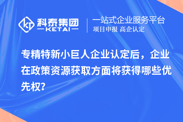 專(zhuān)精特新小巨人企業(yè)認(rèn)定后，企業(yè)在政策資源獲取方面將獲得哪些優(yōu)先權(quán)？