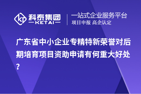 廣東省中小企業(yè)專(zhuān)精特新榮譽(yù)對(duì)后期培育項(xiàng)目資助申請(qǐng)有何重大好處？