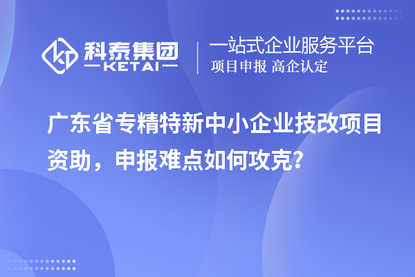 廣東省專精特新中小企業(yè)技改項目資助，申報難點如何攻克？