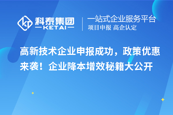 高新技術(shù)企業(yè)申報(bào)成功，政策優(yōu)惠來襲！企業(yè)降本增效秘籍大公開