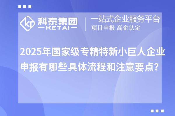 2025年國家級專精特新小巨人企業(yè)申報有哪些具體流程和注意要點？
