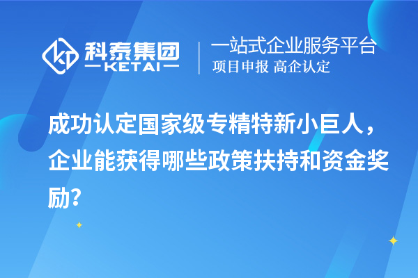 成功認定國家級專精特新小巨人，企業(yè)能獲得哪些政策扶持和資金獎勵？