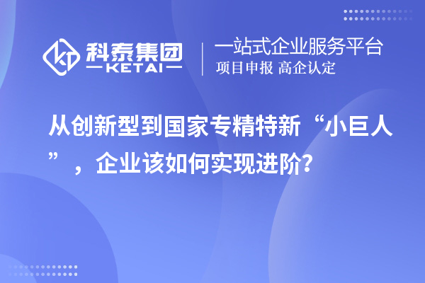 從創(chuàng)新型到國家專精特新“小巨人”，企業(yè)該如何實(shí)現(xiàn)進(jìn)階？