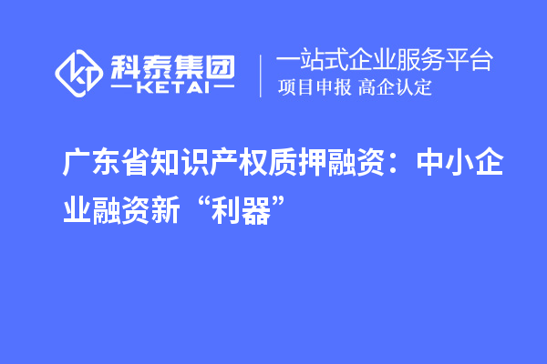 廣東省知識產(chǎn)權(quán)質(zhì)押融資：中小企業(yè)融資新“利器”