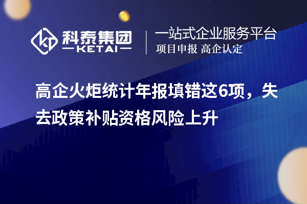 高企火炬統(tǒng)計年報填錯這6項，失去政策補貼資格風險上升
