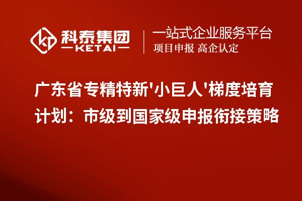 廣東省專精特新'小巨人'梯度培育計(jì)劃：市級到國家級申報銜接策略