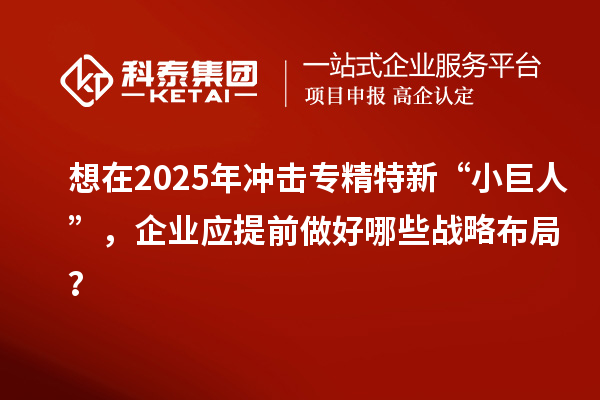 想在2025年沖擊專精特新 “小巨人”，企業(yè)應(yīng)提前做好哪些戰(zhàn)略布局？