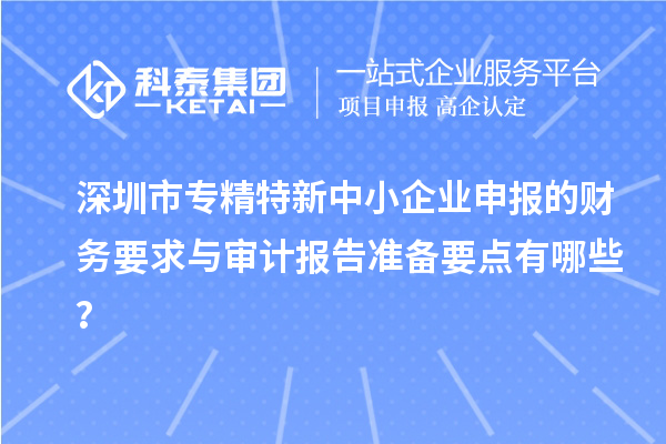 深圳市專精特新中小企業(yè)申報(bào)的財(cái)務(wù)要求與審計(jì)報(bào)告準(zhǔn)備要點(diǎn)有哪些？