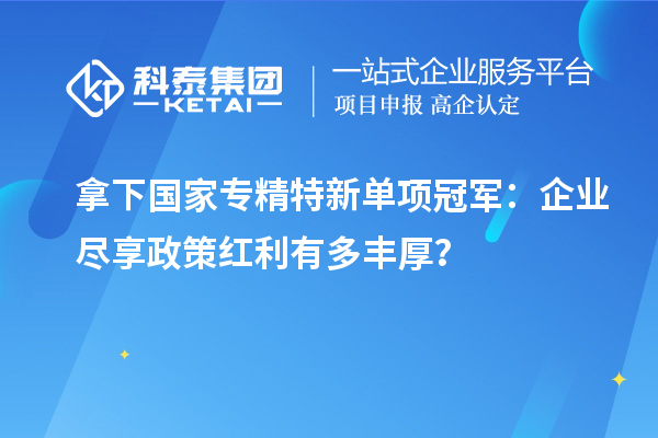 拿下國家專精特新單項(xiàng)冠軍：企業(yè)盡享政策紅利有多豐厚？