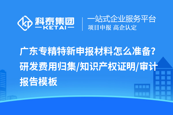 廣東專精特新申報材料怎么準備？研發(fā)費用歸集/知識產(chǎn)權(quán)證明/審計報告模板